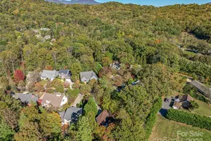 15 Ozark Spring Ln, Asheville, NC 28805 - Photo 46