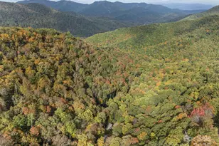 1396 Winter Star Rd, Burnsville, NC 28714 - Photo 18