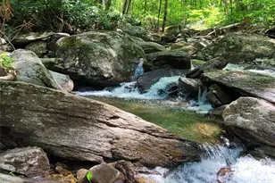 1396 Winter Star Rd, Burnsville, NC 28714 - Photo 46