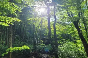 1396 Winter Star Rd, Burnsville, NC 28714 - Photo 44