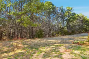 115 Viburnum Rd, Waxhaw, NC 28173 - Photo 36