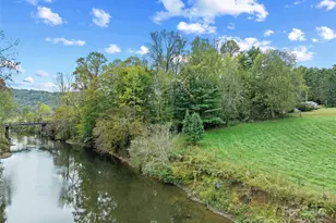 841 Elm Bend Rd, Brevard, NC 28712 - Photo 2