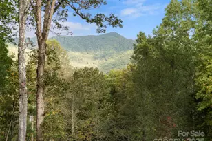 296 Ivy Ridge Cir, Sylva, NC 28779 - Photo 42