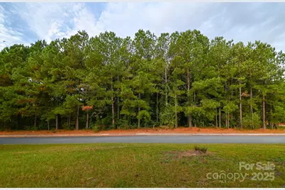 203 N Van Lingle Mungo Boulevard, Pageland, SC 29728 - Photo 16