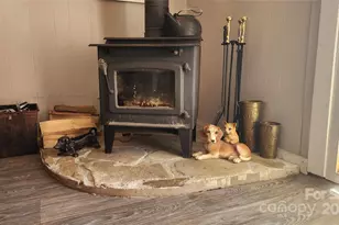 41 Gunches Dirt Rd, Candler, NC 28715 - Photo 14