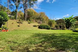 41 Gunches Dirt Rd, Candler, NC 28715 - Photo 30