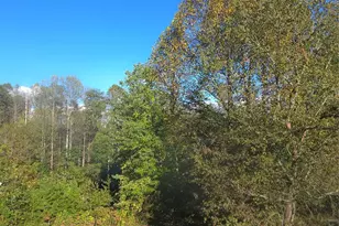 101 Whispering Pines Dr, Marion, NC 28752 - Photo 20