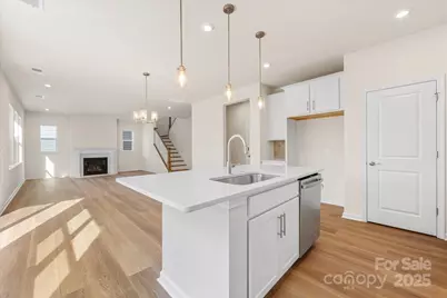 8233 Franklin Trail Street, Mint Hill, NC 28227 - Photo 2