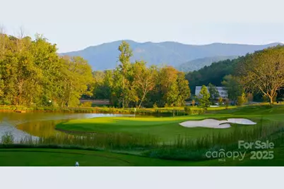 305 Clubhouse Lane #B102, Mill Spring, NC 28756 - Photo 48