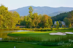 305 Clubhouse Ln, Mill Spring, NC 28756 - Photo 48