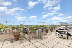 1315 East Blvd, Charlotte, NC 28203 - Photo 18