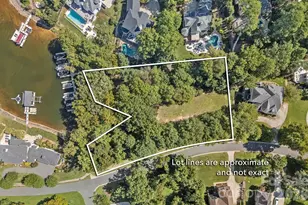 19002 Lakehouse Pointe Dr, Cornelius, NC 28031 - Photo 2