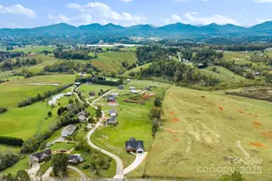 5 Agape Acres Dr, Alexander, NC 28701 - Photo 36