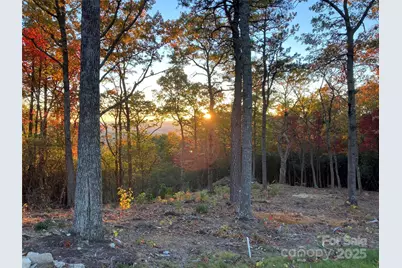 0 Mountain Grove Lane #48, Fletcher, NC 28732 - Photo 4