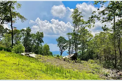 0 Mountain Grove Lane #48, Fletcher, NC 28732 - Photo 6