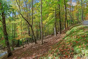 42 Hickory Springs Rd, Burnsville, NC 28714 - Photo 16