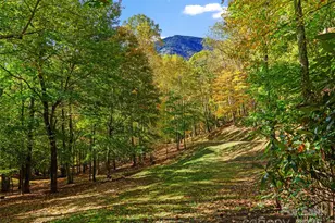 42 Hickory Springs Rd, Burnsville, NC 28714 - Photo 12