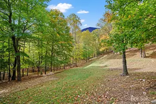 42 Hickory Springs Rd, Burnsville, NC 28714 - Photo 6