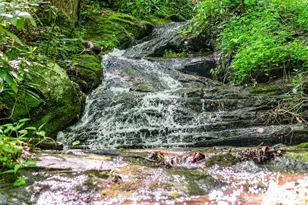 42 Hickory Springs Rd, Burnsville, NC 28714 - Photo 28