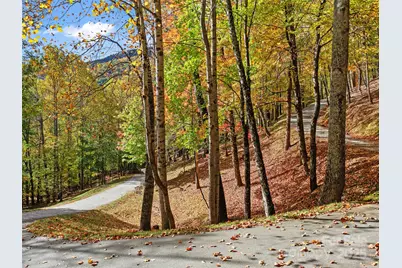 42 Hickory Springs Road #42, Burnsville, NC 28714 - Photo 14