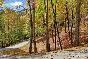 42 Hickory Springs Rd, Burnsville, NC 28714 - Photo 14