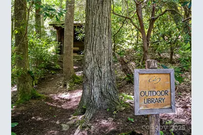 42 Hickory Springs Road #42, Burnsville, NC 28714 - Photo 32