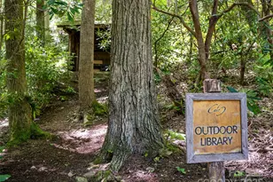 42 Hickory Springs Rd, Burnsville, NC 28714 - Photo 32