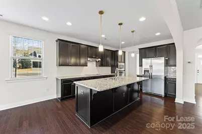 18204 Studman Branch Avenue, Charlotte, NC 28278 - Photo 10