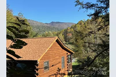 408 Dora Lane, Bakersville, NC 28705 - Photo 1