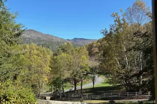 408 Dora Ln, Bakersville, NC 28705 - Photo 4