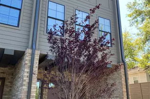 1516 Harrill St, Charlotte, NC 28205 - Photo 2