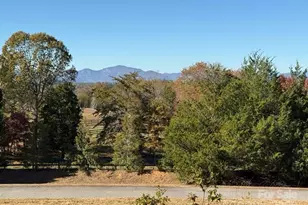 6 Rachel Bell Rd, Mill Spring, NC 28756 - Photo 2