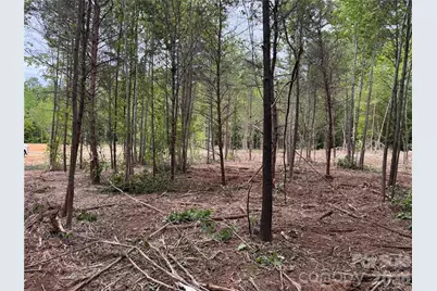 228 Fern Hill Road, Troutman, NC 28166 - Photo 22