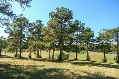 0 Wagoner Road, Richfield, NC 28137 - Photo 8