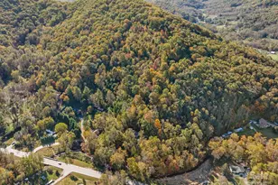 74 Davis Chapel Rd, Candler, NC 28715 - Photo 4