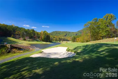 Lot 42 Palmer Place, Lake Lure, NC 28746 - Photo 26