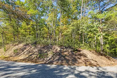 Lot 42 Palmer Place, Lake Lure, NC 28746 - Photo 4