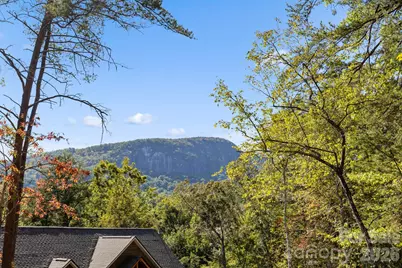 Lot 42 Palmer Place, Lake Lure, NC 28746 - Photo 10