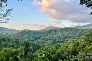 346 Appaloosa Trail, Burnsville, NC 28714 - Photo 2