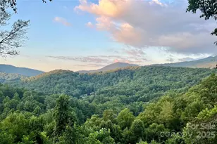 346 Appaloosa Trail, Burnsville, NC 28714 - Photo 2