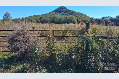 330 Dirty Ankle Road, Lawndale, NC 28090 - Photo 22