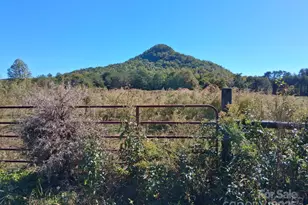 330 Dirty Ankle Rd, Lawndale, NC 28090 - Photo 22
