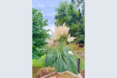 227 Reep Drive, Morganton, NC 28655 - Photo 46