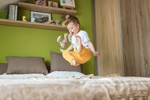 2159 Catawba Trce Dr, Catawba, NC 28609 - Photo 10