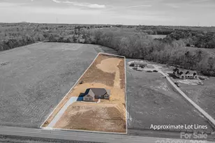 1156 Walker Branch Rd, Lincolnton, NC 28092 - Photo 2