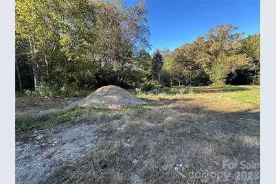 00 Courtney- Huntsville Road #2, Yadkinville, NC 27055 - Photo 2