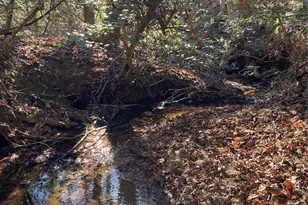 660 Scoggins Rd, Rutherfordton, NC 28139 - Photo 44