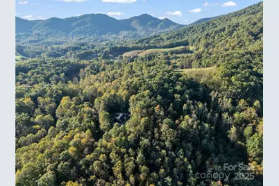 7 Shannon Lane, Leicester, NC 28748 - Photo 44