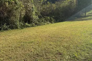 9999 Monticello Rd, Weaverville, NC 28787 - Photo 1