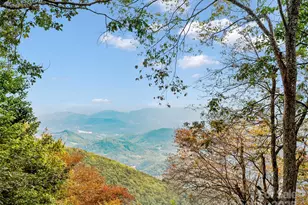 195 Simpson Ln, Maggie Valley, NC 28751 - Photo 12